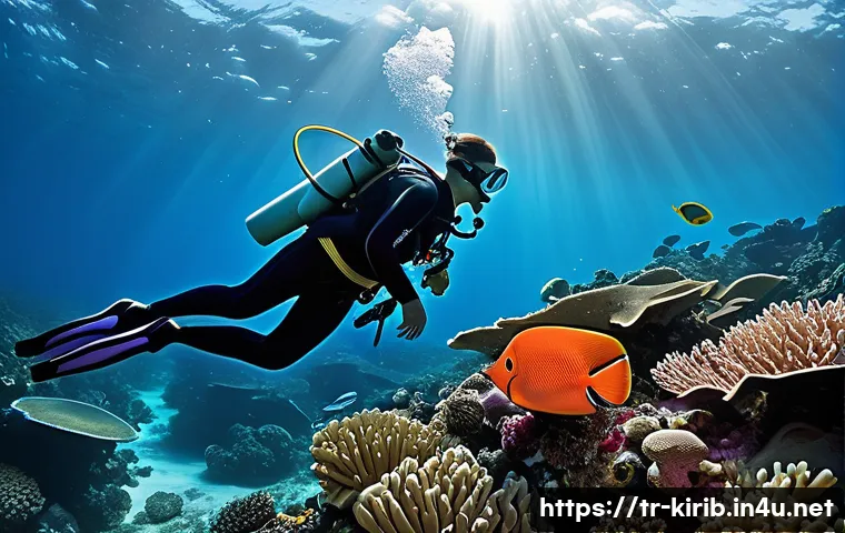 Kiribati'nin Gizemli Adalarında Turizm Geleceği: Keşfedilmeyi Bekleyenler 4 키리바시 관광 산업의 미래 관련 이미지 2