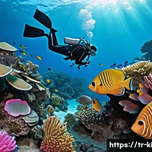 Home 26 키리바시 최고의 스노클링 스팟 - Kiribati's Vibrant Coral Ballet**
"A breathtaking underwater scene capturing the essence of Kiribat...