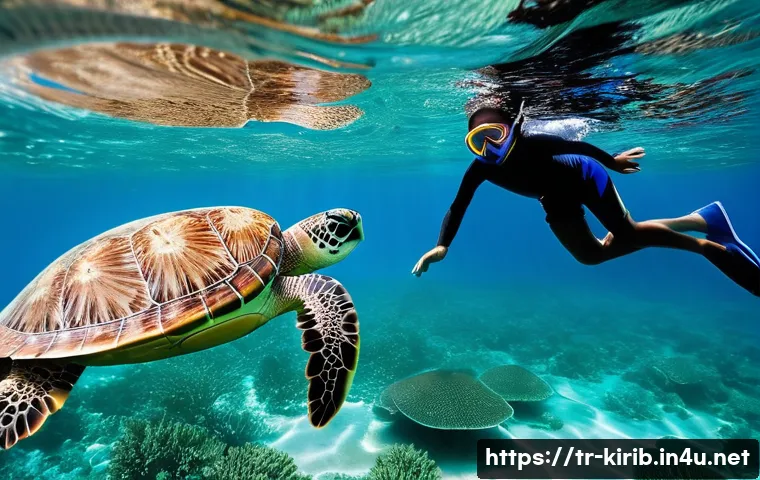 Kiribati'nin En Büyüleyici Şnorkel Noktalarını Keşfetmek İçin Bilmeniz Gerekenler 4 키리바시 최고의 스노클링 스팟 관련 이미지 2