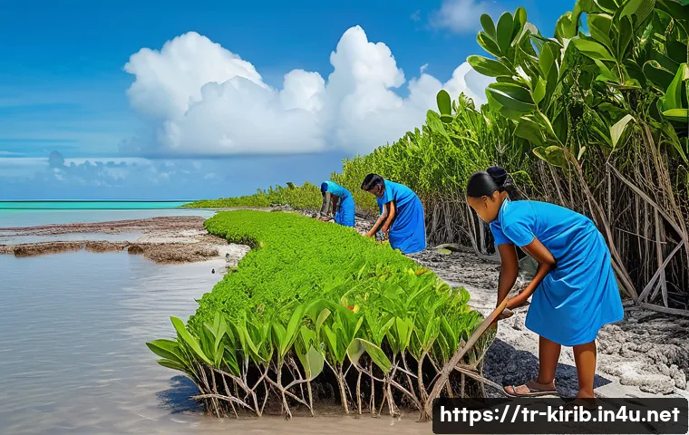 Kiribati'nin Uluslararası Yardım Serüveni: Bilmeniz Gereken Şaşırtıcı Gerçekler 3 키리바시 국제 원조 역사 관련 이미지 1